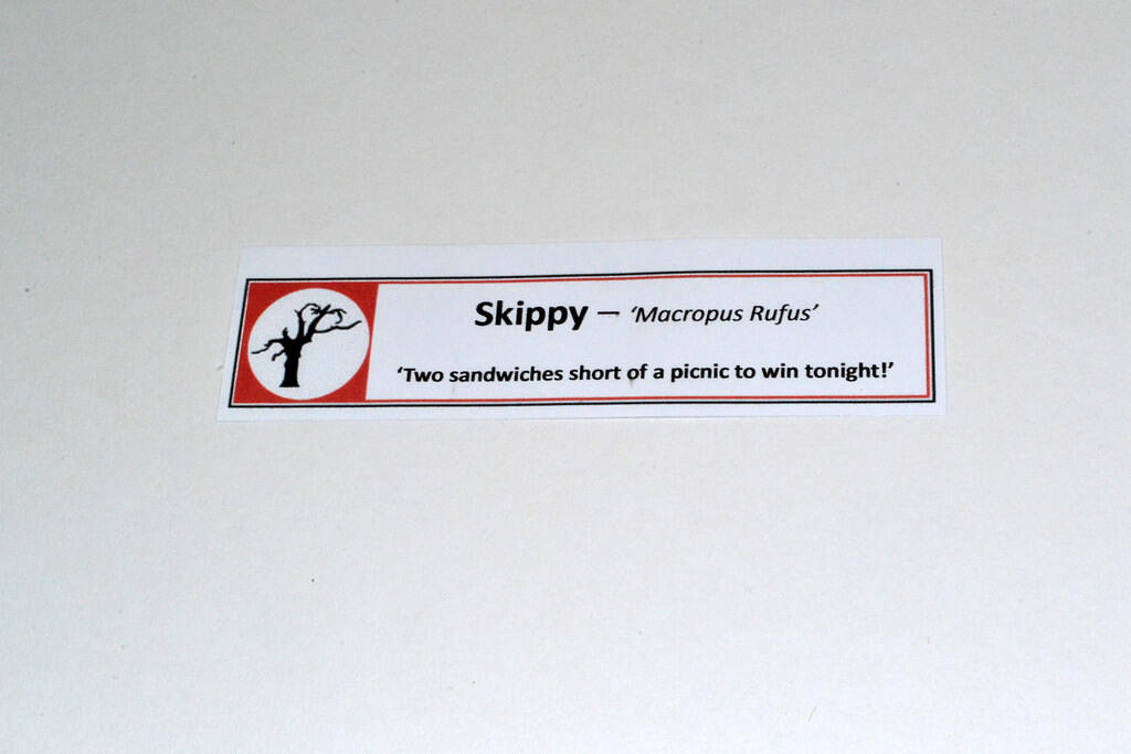 Skippy
