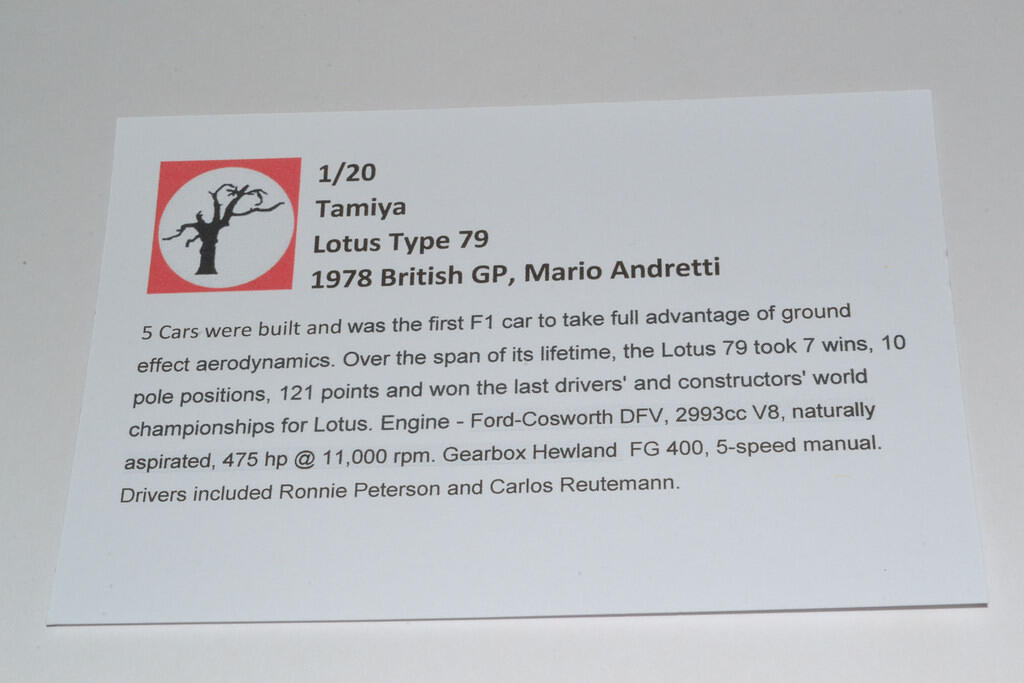 1:20 Lotus 79