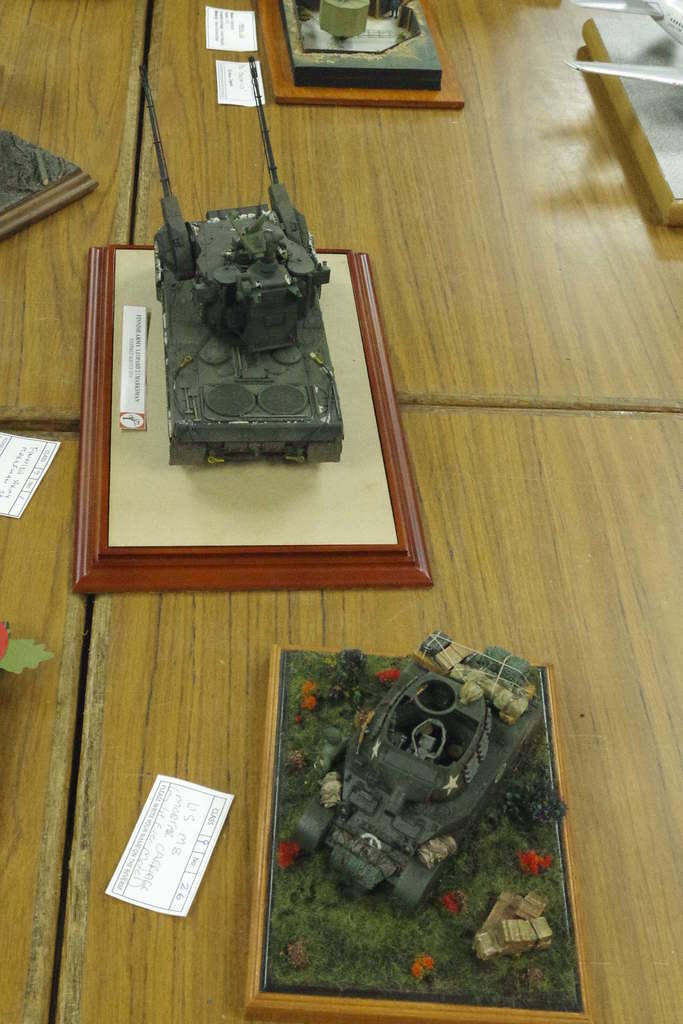 Model of the Year entries
