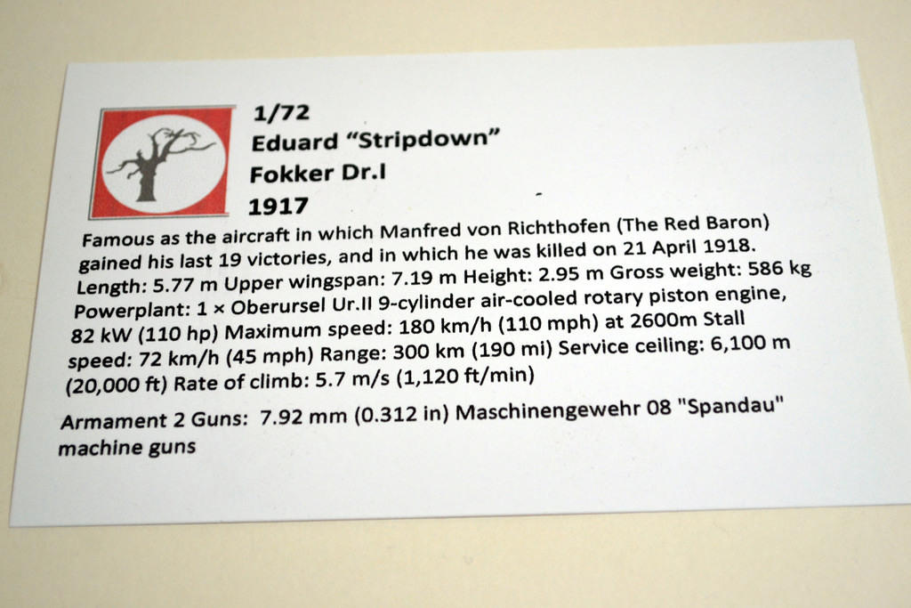 Eduard "Stripdown" Fokker Dr.1 1917