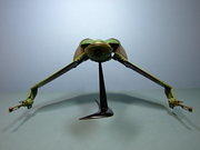 Klingon Bird of Prey