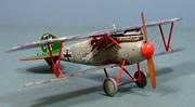 Albatros D.Va, Fritz Rumey, 1:72