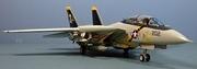 Grumman F-14A Tomcat, VF-84, Op. Eagle Claw, 1980, 1:72