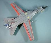 General Dynamics F-11C, RAAF, 1:48