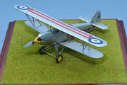 Hawker Fury F1