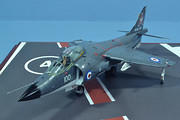 Sea Harrier FRS.1