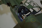 Dornier Do 335 